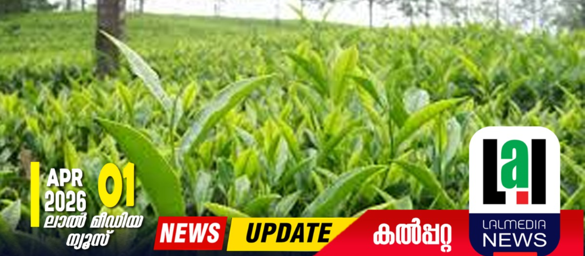 പച്ചത്തേയില വില നിശ്ചയിച്ചു