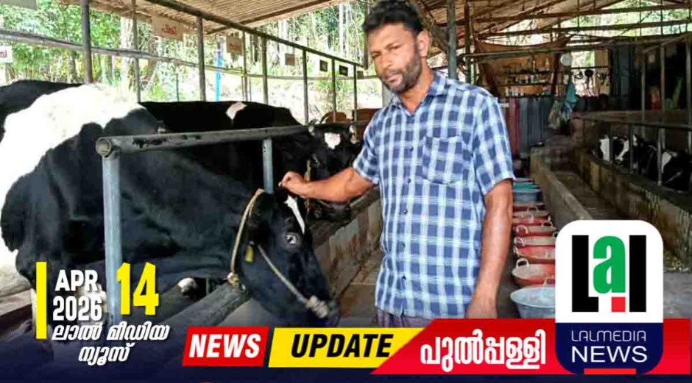 കഠിനാധ്വാനം പെയ്യിച്ച പാൽക്കടൽ: വയനാടിന്റെ മികച്ച ക്ഷീരകർഷകനായി ബിനോയ്